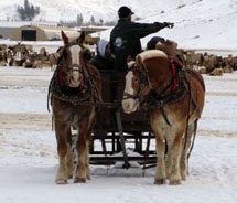 Sleigh rides at the National Elk Refuge // © 2011 Double H Bar, Inc.